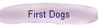 First Dogs