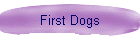 First Dogs